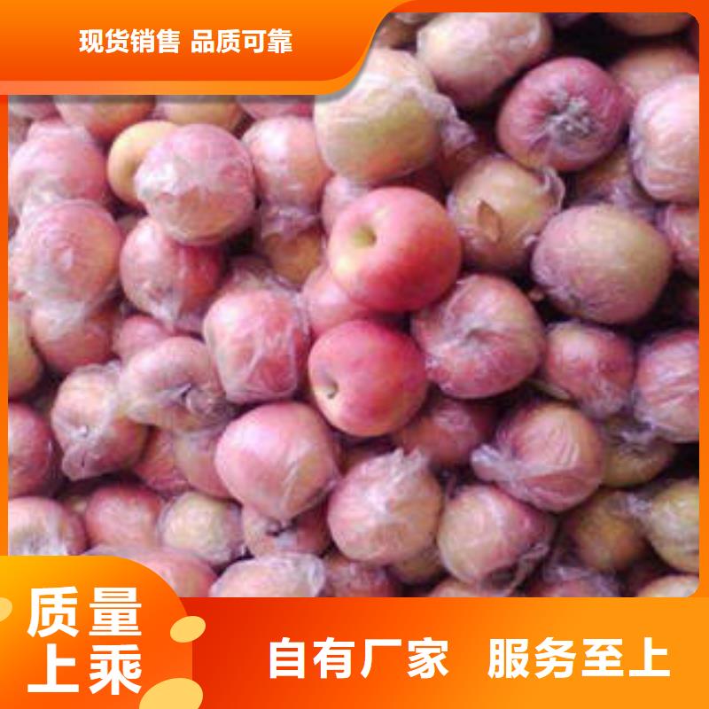 红富士苹果苹果批发根据要求定制