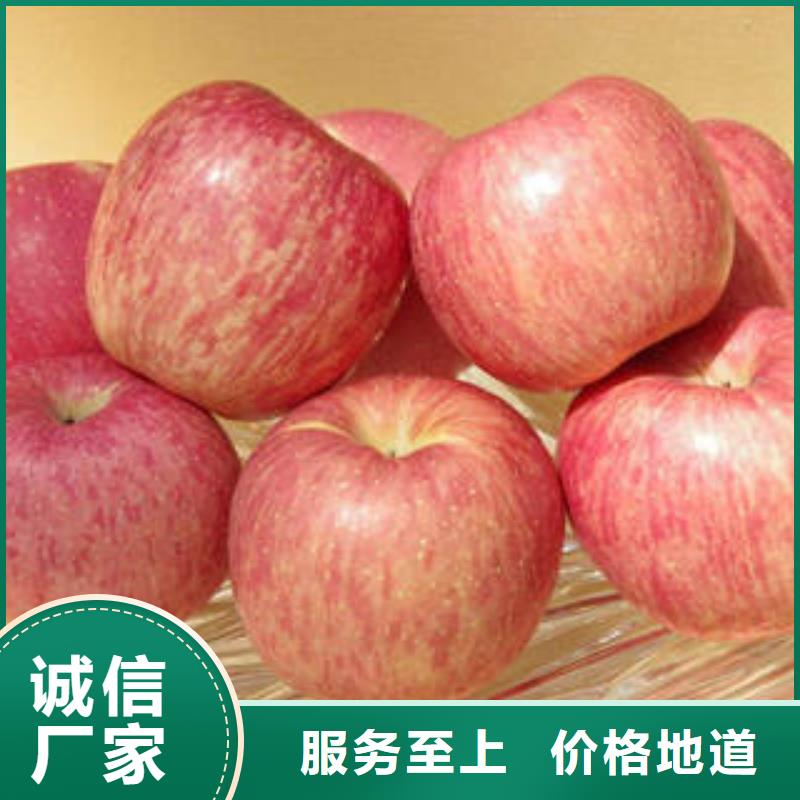 红富士苹果,苹果通过国家检测