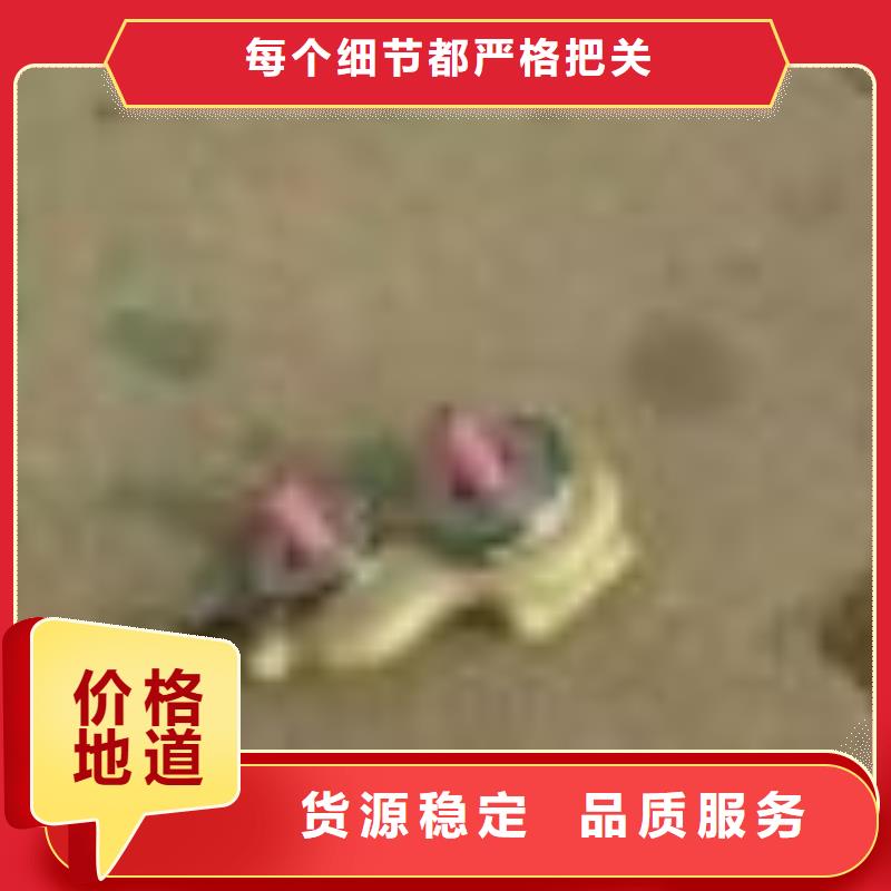 280mm氧化合金槽筒有图样可加工