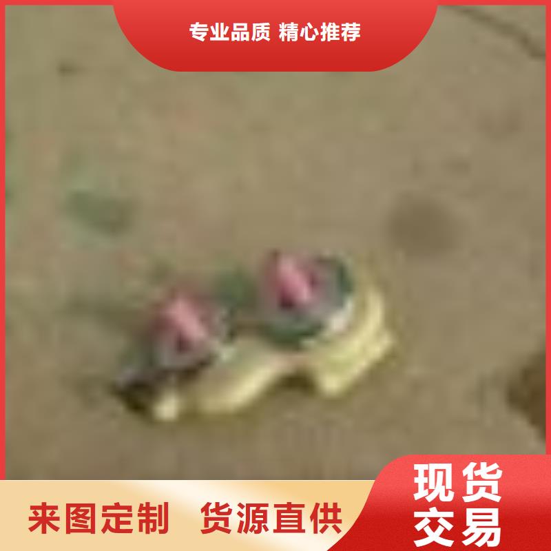 G203，193卷纬机锭带盘品种全精密配套