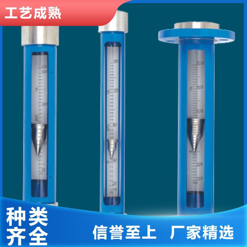 G10浮子流量计一致好评产品