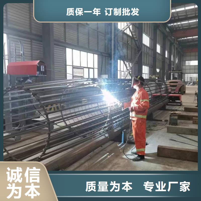 乐东县新型数控钢筋笼成型机生产厂商