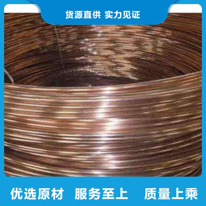 【镀铜扁钢日标角钢源头厂家经验丰富】