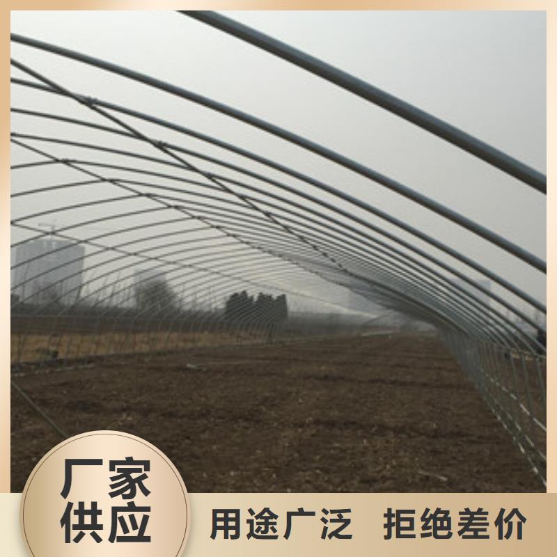 大棚管角钢一个起售