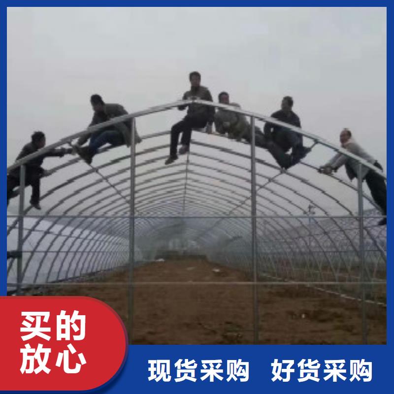 大棚管Q355D焊管质量看得见