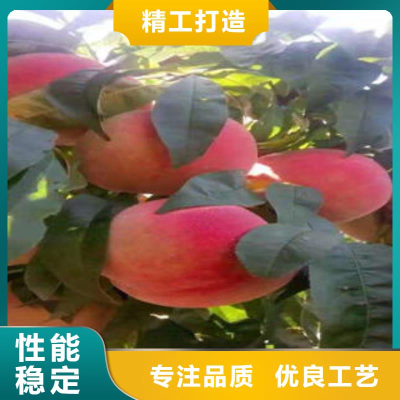 桃树苗山楂苗大品牌值得信赖