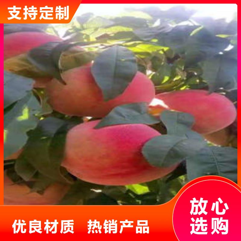 桃树苗山楂苗重信誉厂家