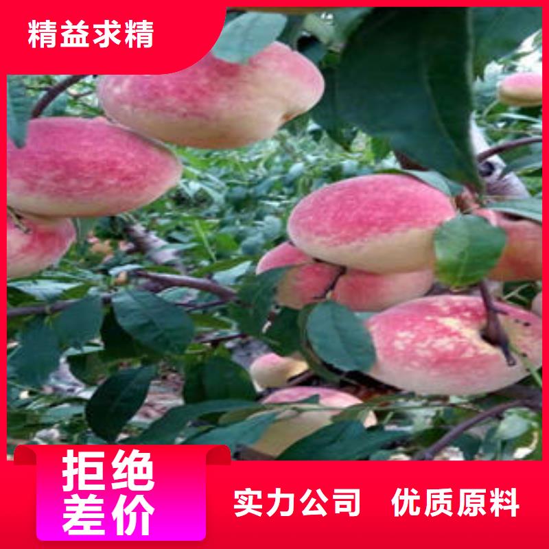 桃树苗梨树苗应用范围广泛