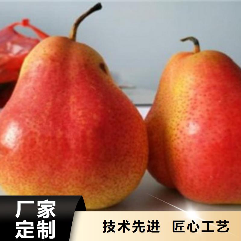 梨树苗-蓝莓苗源头厂家来图定制