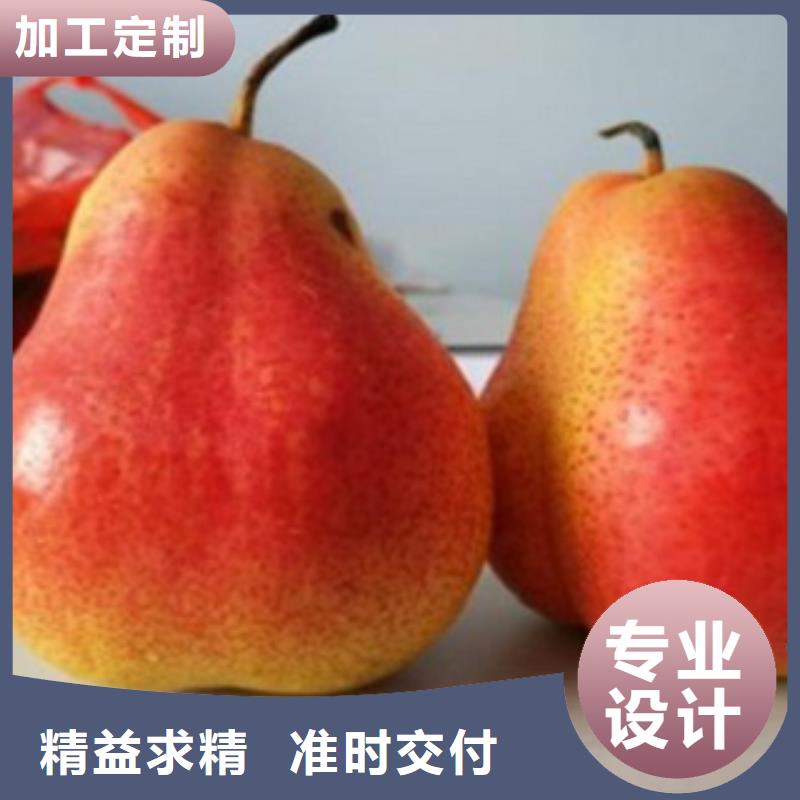 梨树苗桃树苗好品质售后无忧