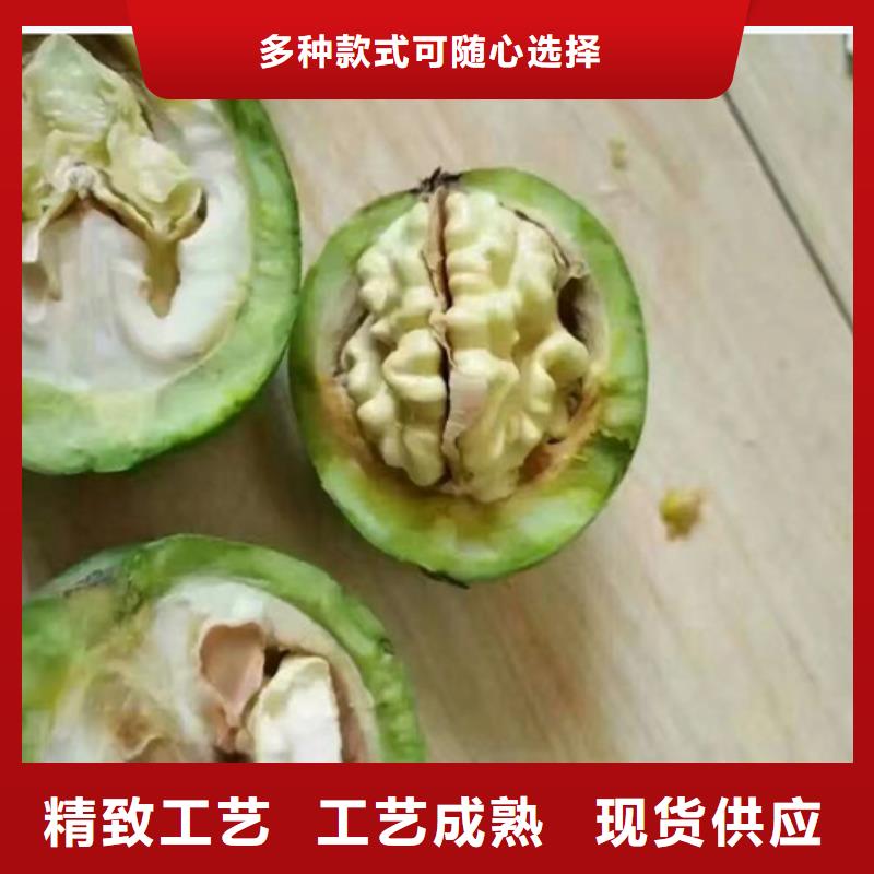 核桃苗板栗苗厂家现货批发