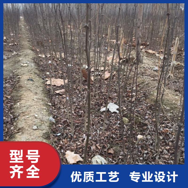 【花椒苗苹果苗来电咨询】