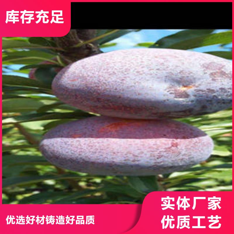 李子苗,山楂苗合作共赢