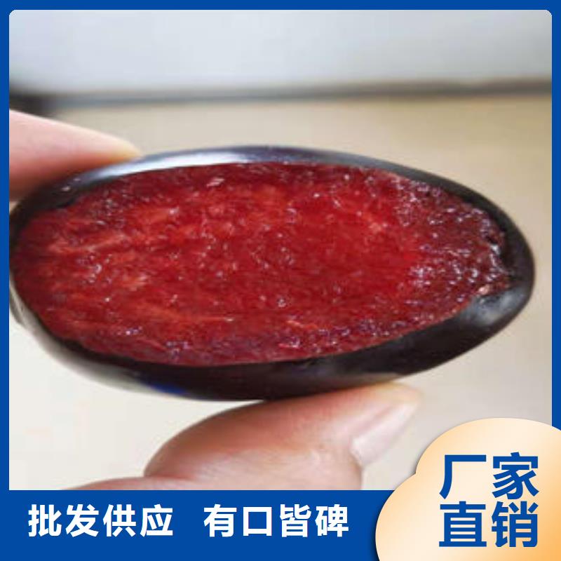 李子苗桃树苗制造生产销售