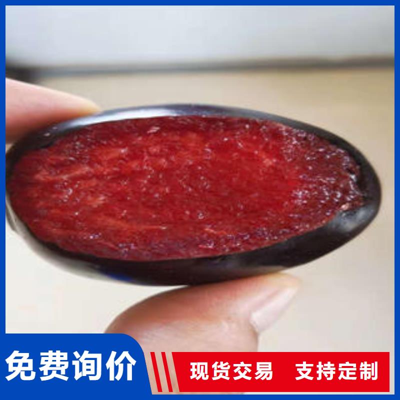 李子苗梨树苗支持货到付清