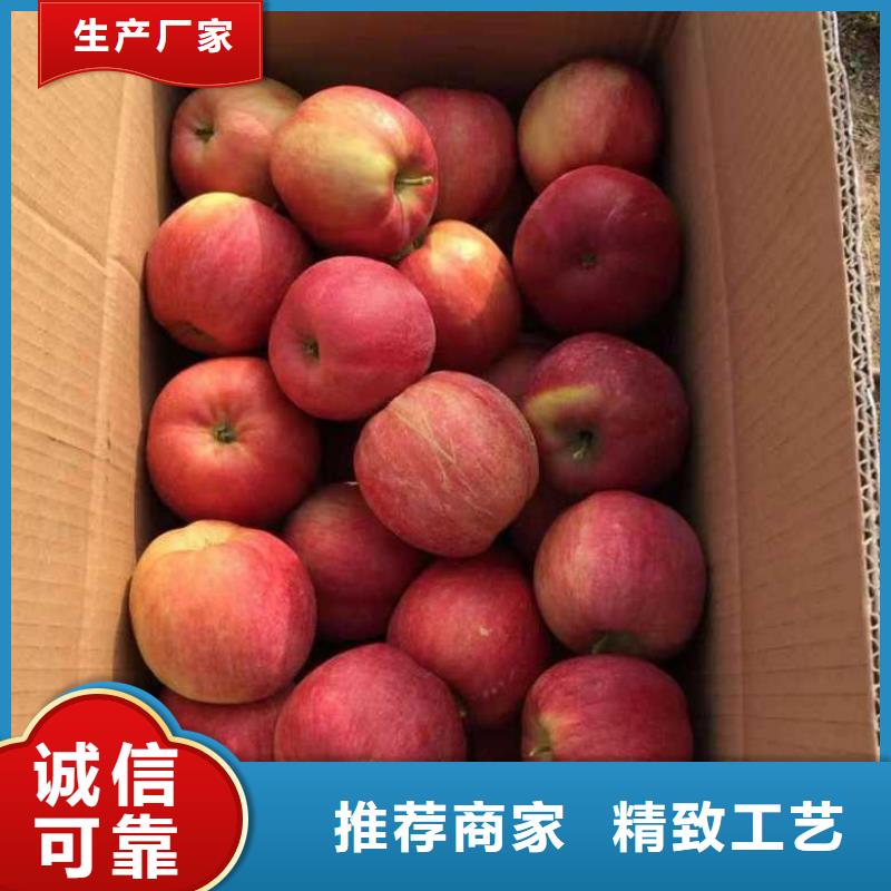苹果苗蓝莓苗快速物流发货