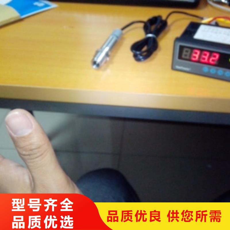 【IRTP300L】-金属转子流量计多年实力厂家