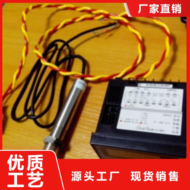 【IRTP300L金属转子流量计按需定制】