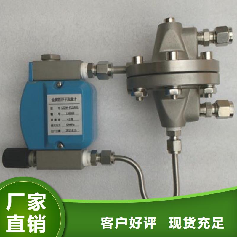 吹扫装置微小流量计厂家直发