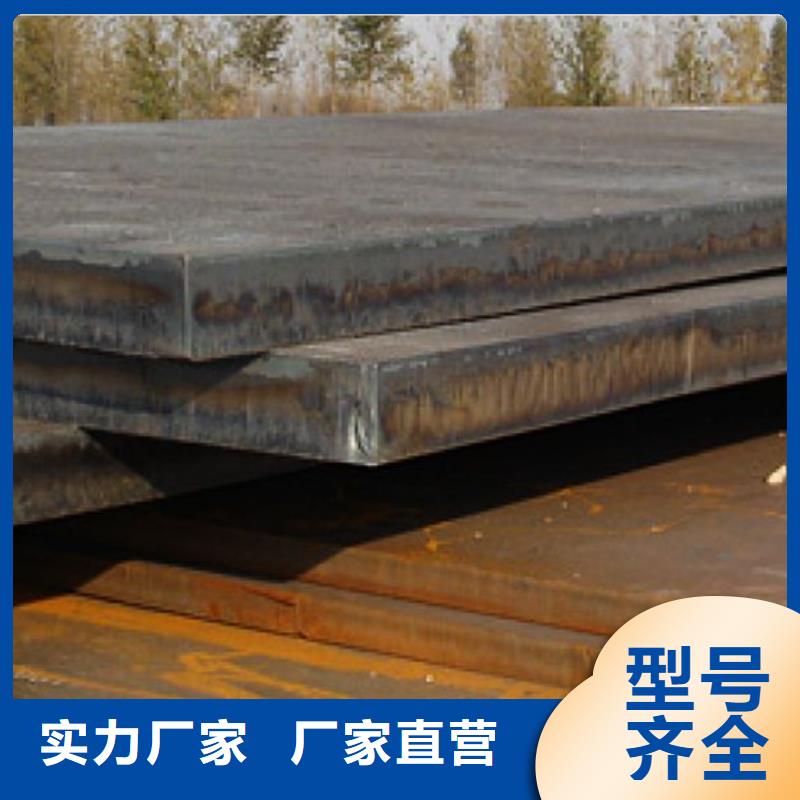 高建板合金板今日价格