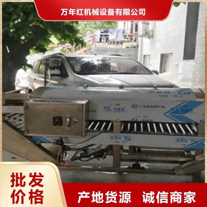 【凉皮机】-河粉机全新升级品质保障