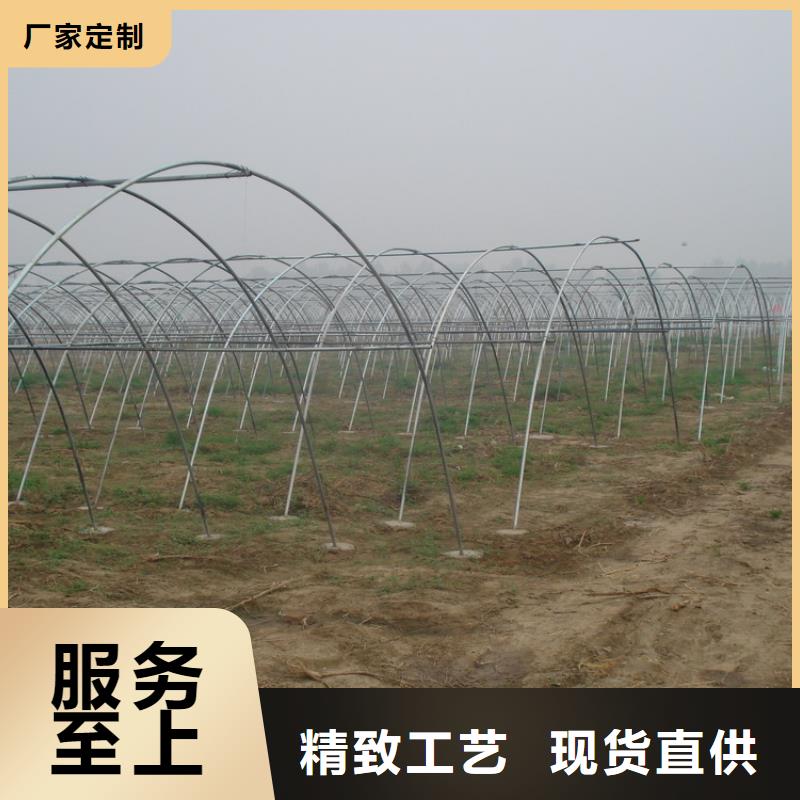 镀锌大棚管TU00无氧铜您想要的我们都有