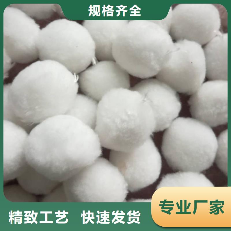 【纤维球_蜂窝斜管填料可定制有保障】