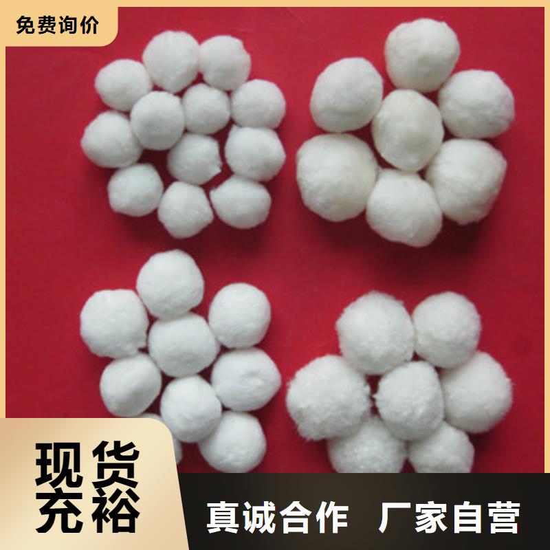纤维球沸石价格合理