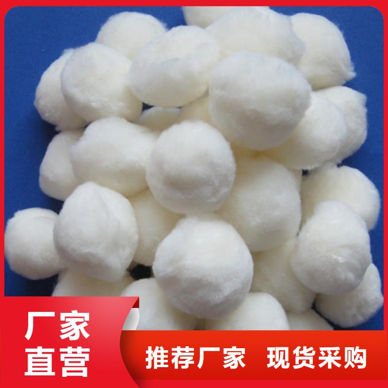 纤维球沸石价格合理