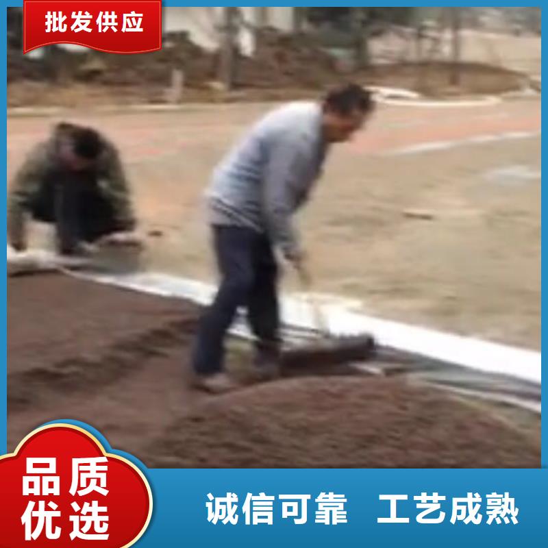 透水彩色透水混凝土源头厂源头货