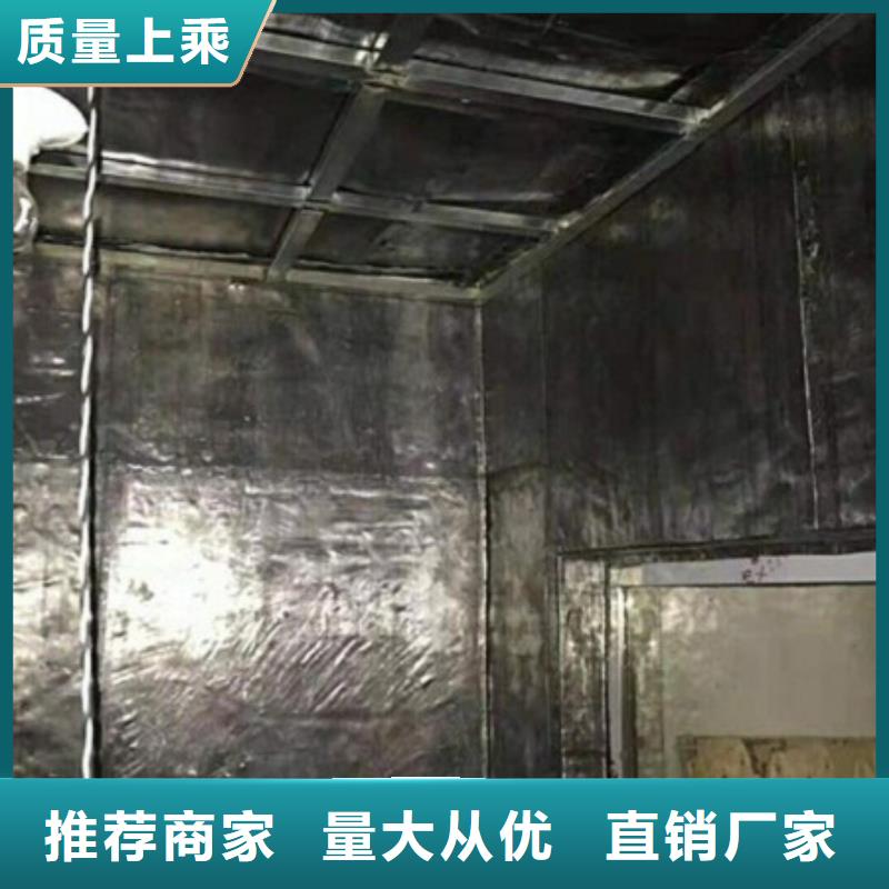 

电动推拉铅门厂家直销