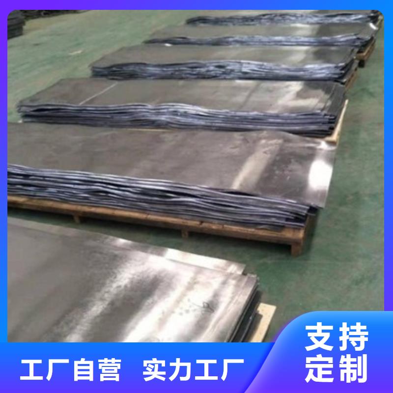 

电动推拉铅门厂家直销
