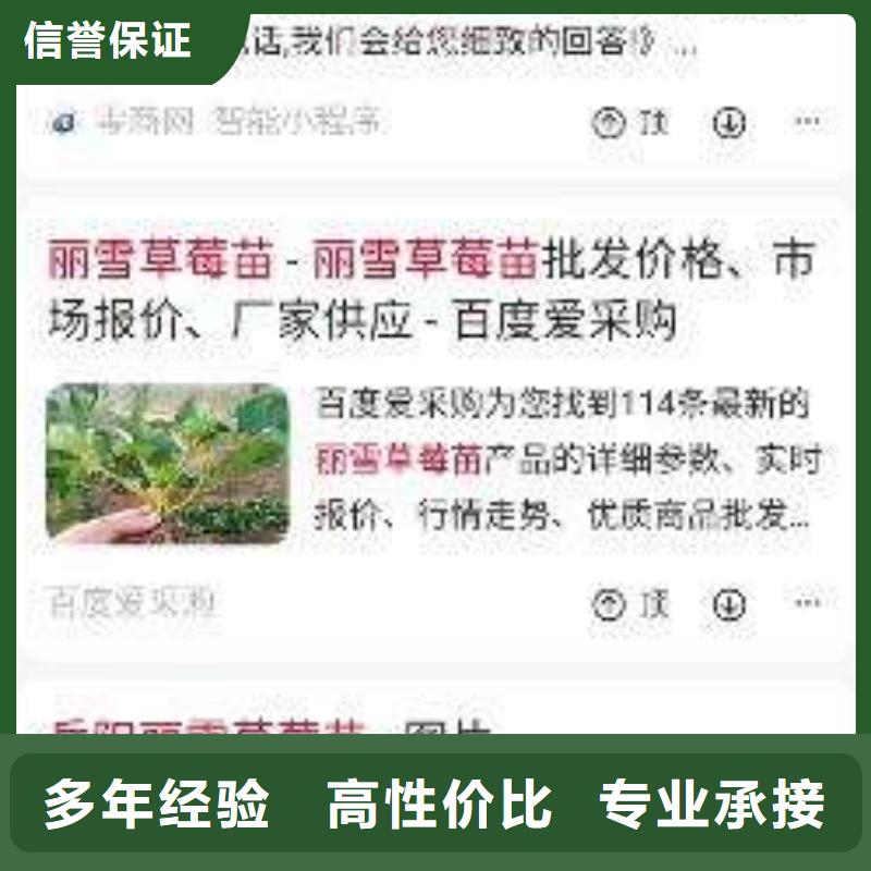 手机网络公司服务至上