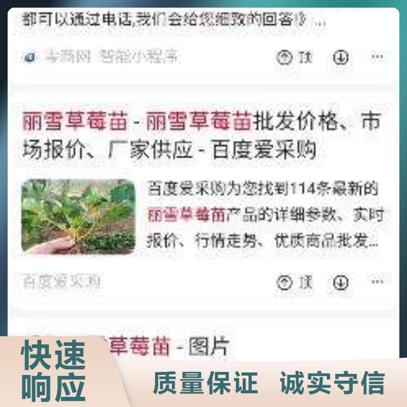 手机网络代运营正规团队