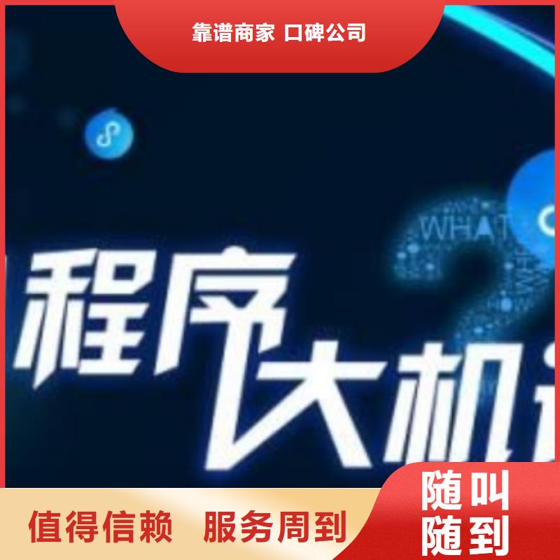 手机,网络公司解决方案