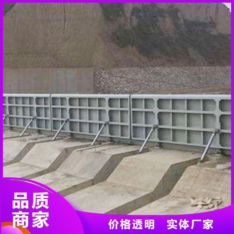 【钢闸门,启闭机闸门厂家采购】