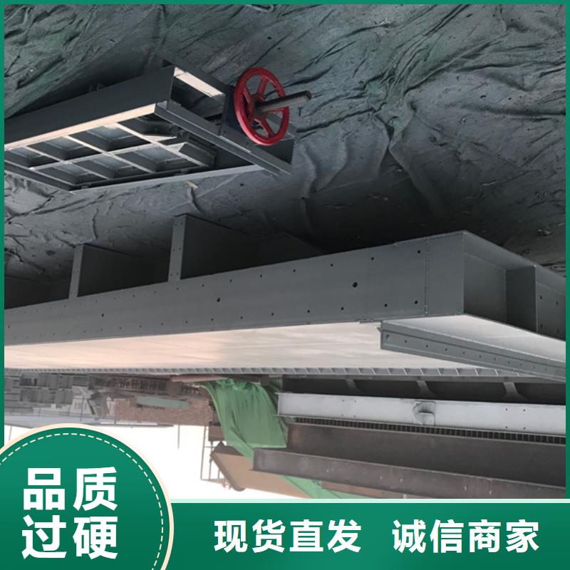 钢闸门_景观钢坝闸门诚信经营质量保证