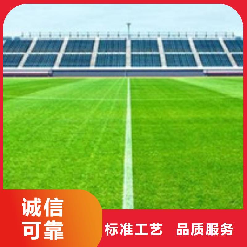 人造草坪同质透心地材一站式服务