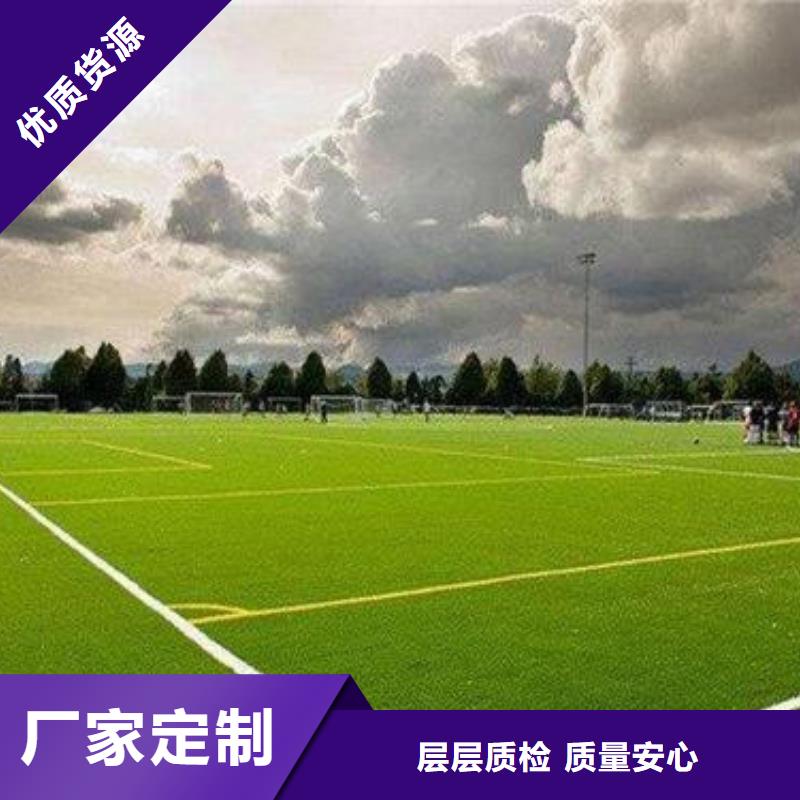 人造草坪,PVC塑胶地板专注产品质量与服务