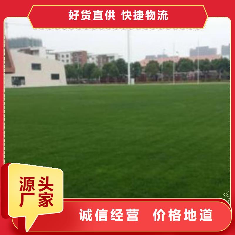 人造草坪同质透心地材一站式服务