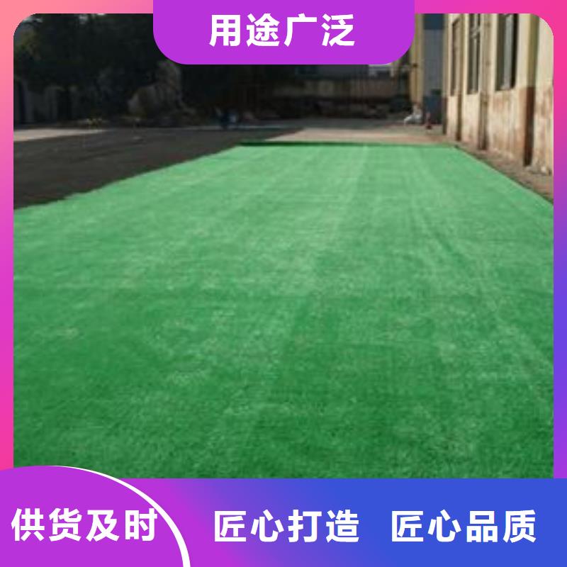 【人造草坪塑胶跑道施工专业生产厂家】