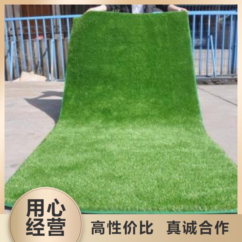 人造草坪塑胶跑道批发价格