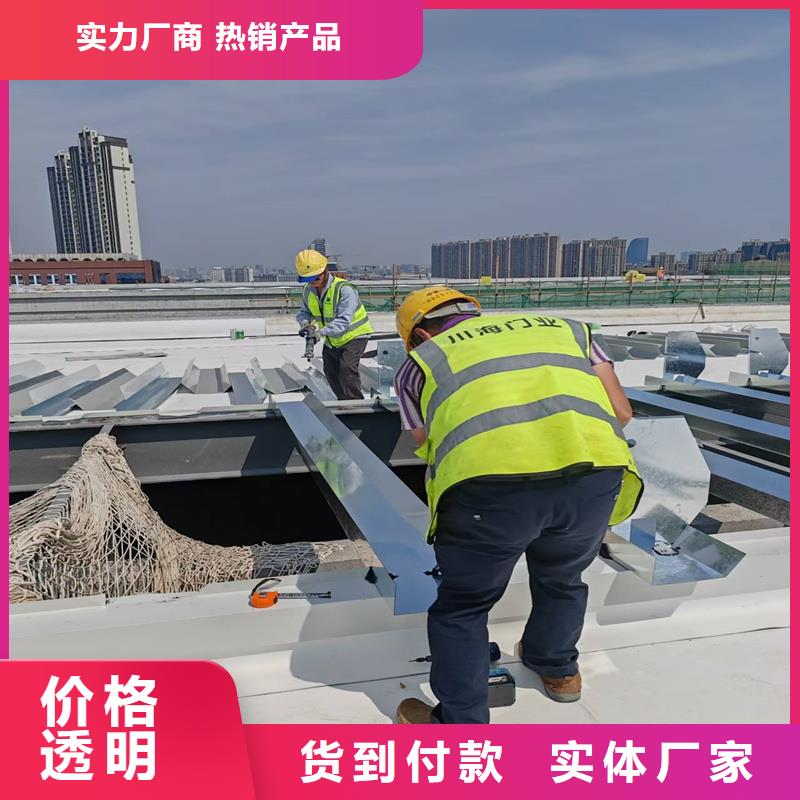 8型圆拱形电动采光天窗团队