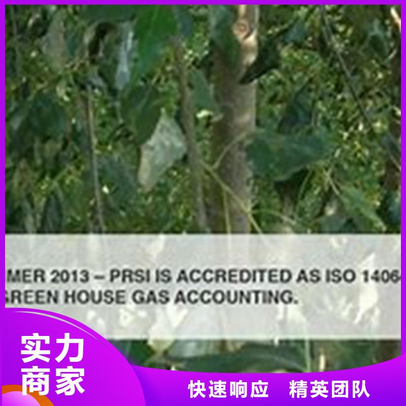 ISO14064认证ISO13485认证2025专业的团队