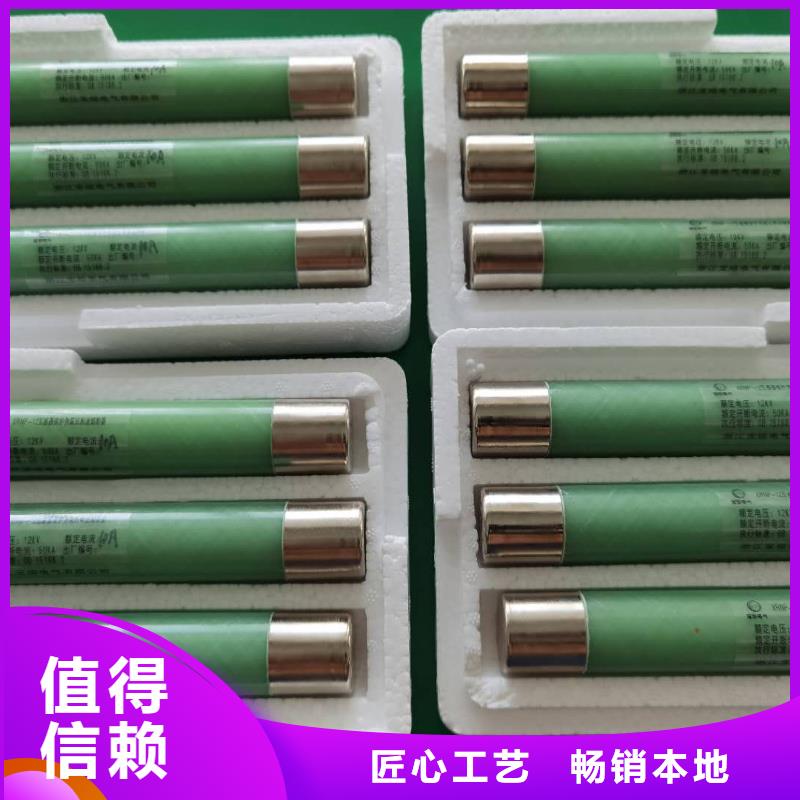 高压熔断器,电磁锁讲信誉保质量