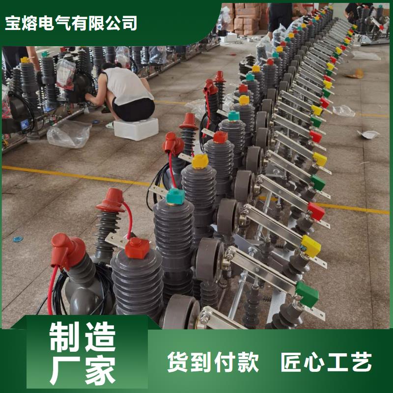 真空断路器高压限流熔断器实力公司
