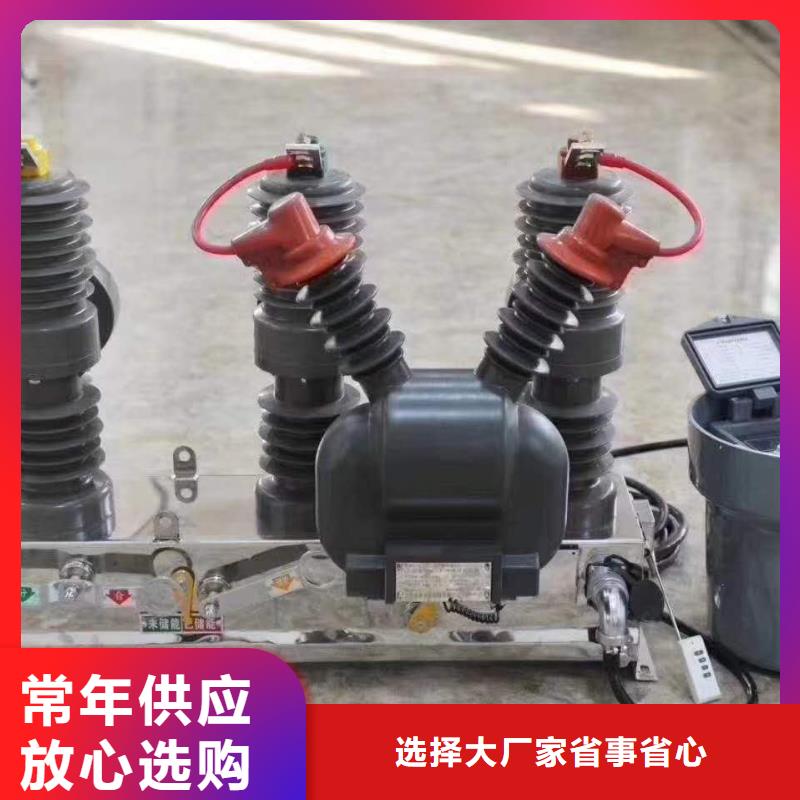 真空断路器高压限流熔断器实力公司
