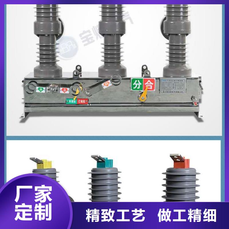 真空断路器高压限流熔断器实力公司