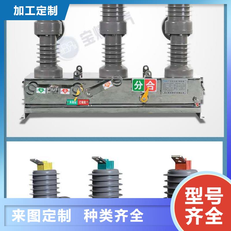 真空断路器高压限流熔断器厂家案例