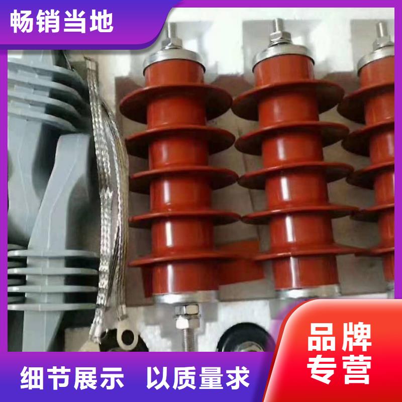 【氧化锌避雷器高压保险丝保险管品质保证】